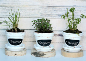 Grow-Your-Own-Herbs