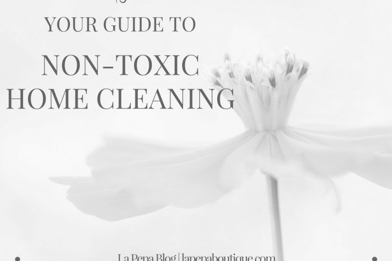 Your Guide to NON TOXIC HOME CLEANING Your Guide to NON TOXIC HOME CLEANING