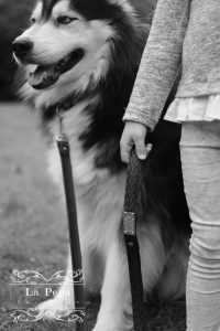 Ethical pets | Laura Zabo Upcycled Tyre Dog Lead