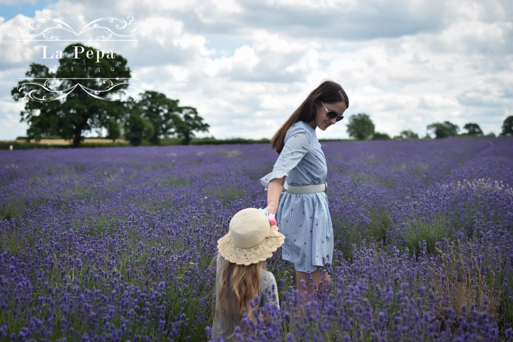 Eco Travels | Somerset Lavender Fields