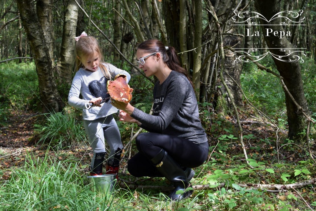 Foraging | What You Should know about Collecting Wild Mushrooms