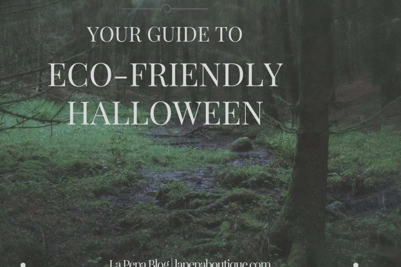 Your Guide to Eco Friendly Halloween Your Guide to Eco Friendly Halloween