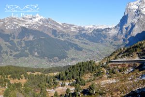 Green Travellers | Mountains Experience "The Top of Europe" in Swiss