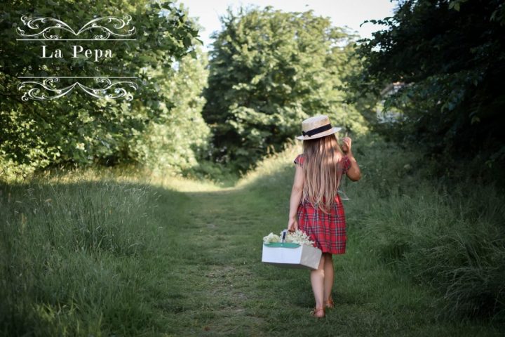 Eco Kitchen | Foraging Elderflower and Drying for Tea Eco Kitchen | Foraging Elderflower and Drying for Tea