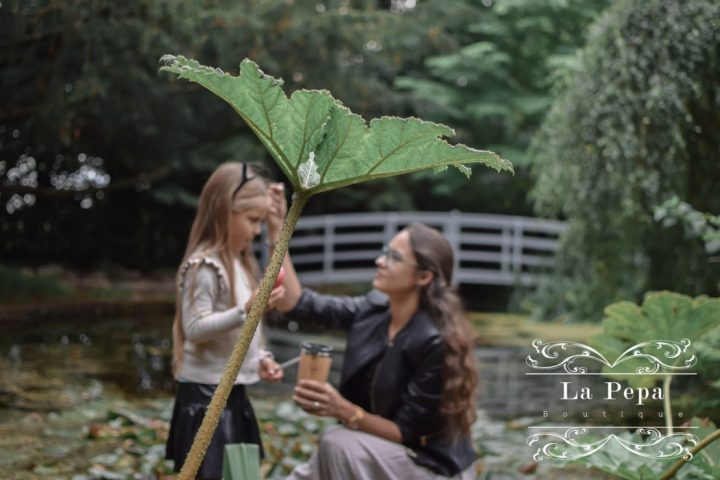 Simplicity | Things We Can Do Without Simplicity | Things We Can Do Without