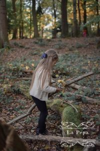 Wild Walks | Leigh Woods National Nature Reserve
