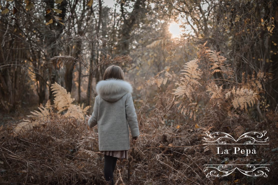 Wild Walks | In the Field of Ferns