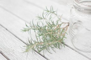 Eco Beauty | Herbal Apple Cider Vinegar Hair Rinses
