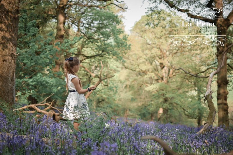 Wild Walks | In the Blue Sea of Bluebells