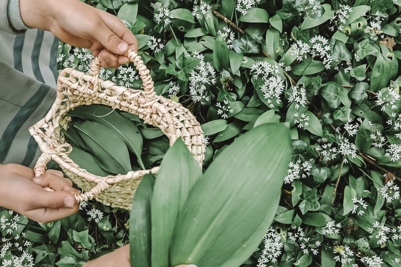 Eco Kitchen | Foraging Wild Garlic and Recipe ideas Eco Kitchen | Foraging Wild Garlic and Recipe ideas
