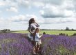 Green Travellers | A Day in Cotswold Lavender Farm