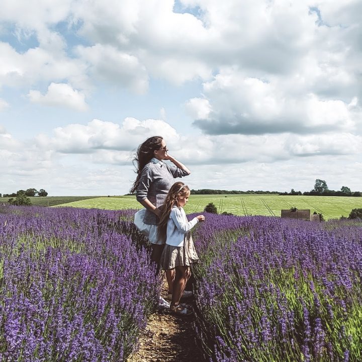Green Travellers | A Day in Cotswold Lavender Farm Green Travellers | A Day in Cotswold Lavender Farm