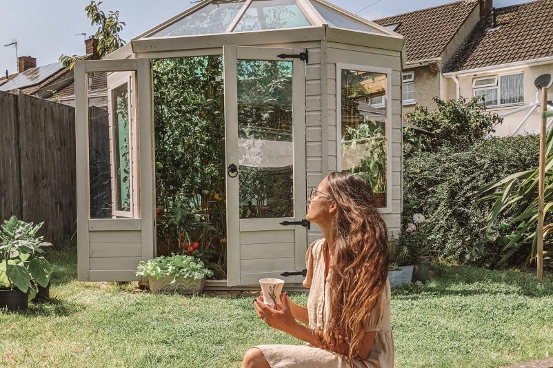 Wooden Greenhouse Wooden Greenhouse