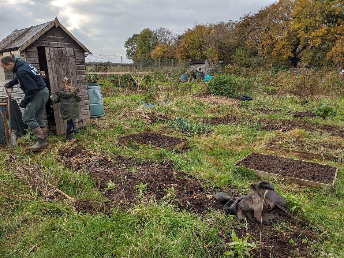 Green Living | My First Year on The Allotment