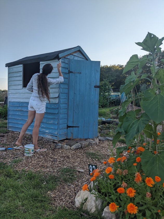 Green Living | My First Year on The Allotment 90