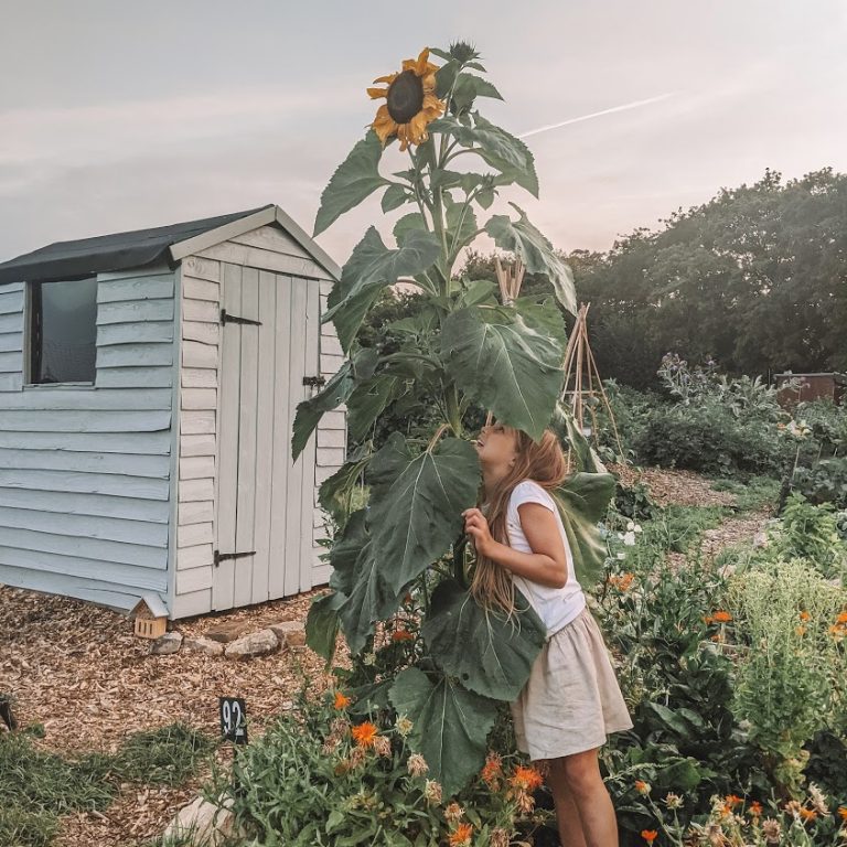 IMG_20200809_205552_623