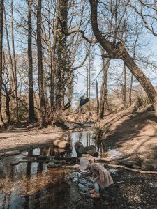 Wild Walks | Peaceful Cannop Ponds (Forest of Dean) Walk 15