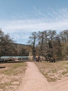 Wild Walks | Peaceful Cannop Ponds (Forest of Dean) Walk 21