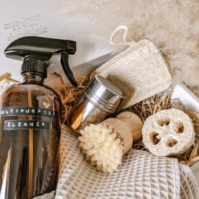 Zero Waste cleaning set