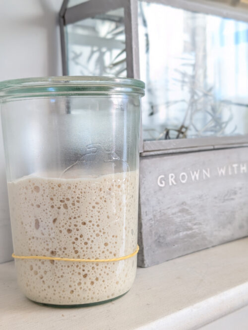 Organic Sourdough Starter | DOUGHNITA - Image 2