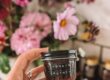 Green tomato chutney